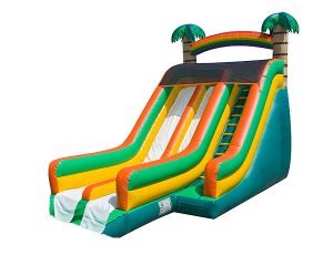21' Big Tropical Wave Waterslide for children’s birthday parties, family reunion ideas