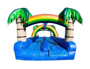 Tropical Oasis Dual Slip-N-Slide Greensboro, High Point, Archdale slip-n-slide rental